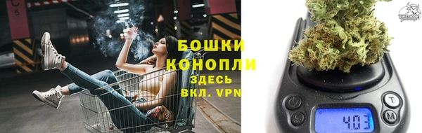 СК Вязьма