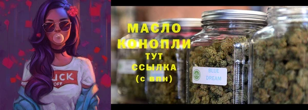 СК Вязьма