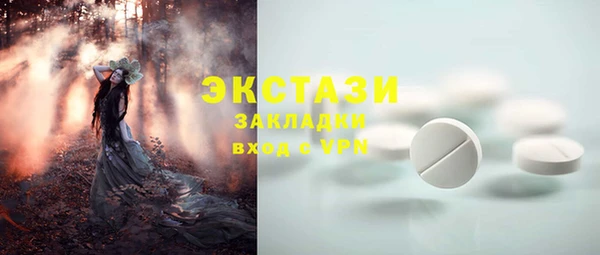 СК Вязьма