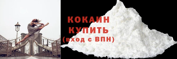 СК Вязьма