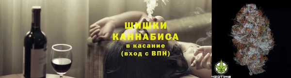 СК Вязьма