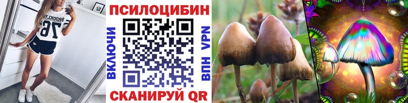 Галлюциногенные грибы Psilocybe  Купить где  Сибай 